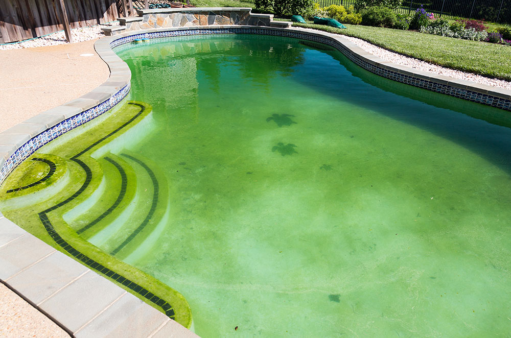 Improperly balanced pool water can lead to algae resulting in a "green" pool