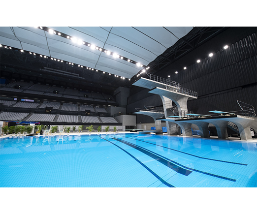 Two centerline diving platform