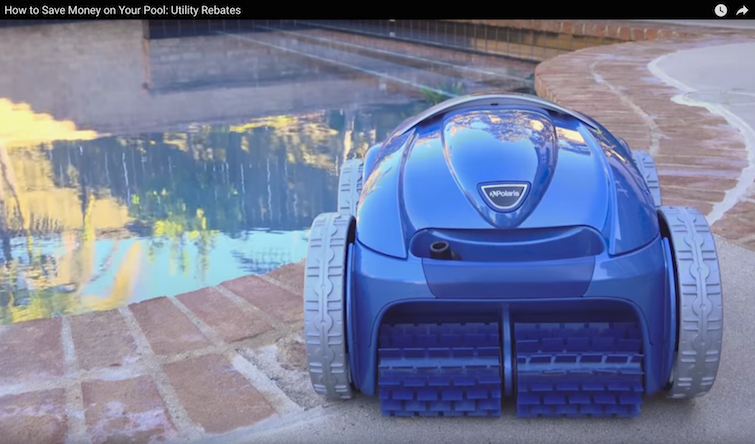 The Perfect Pool with Zodiac